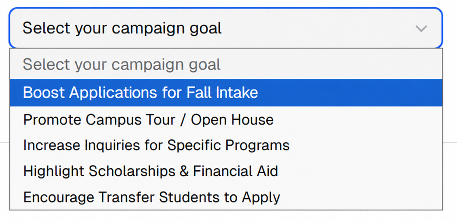 Campaign Ideas